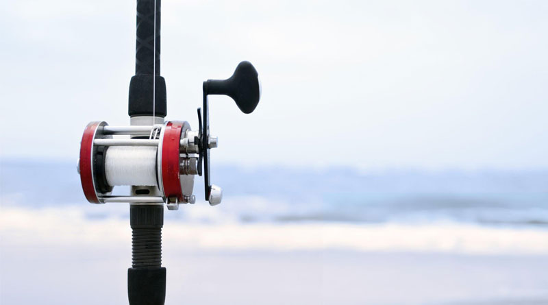 Best Surf Casting Reels For Distance