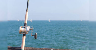 Best Surf Casting Rods For Distance