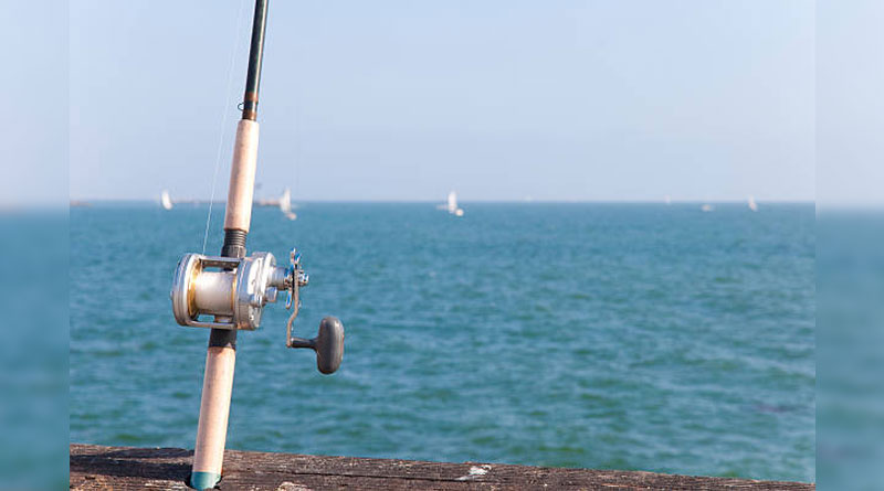 Best Surf Casting Rods For Distance