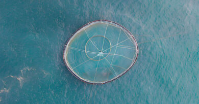 Best Fishing Rigs For Saltwater