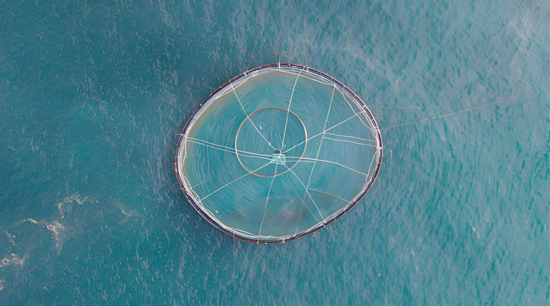 Best Fishing Rigs For Saltwater