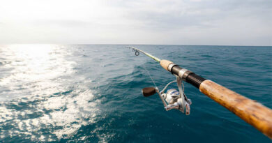 Best Monofilament Fishing Line For Spinning Reels