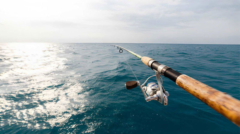 Best Monofilament Fishing Line For Spinning Reels