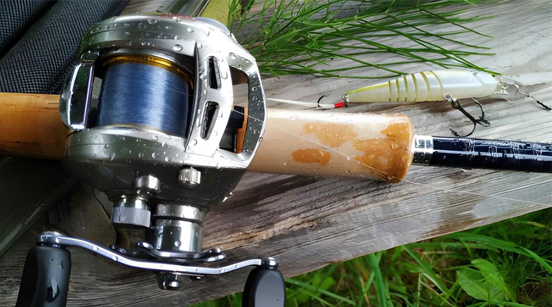 Best Monofilament Fishing Lines For Baitcasters