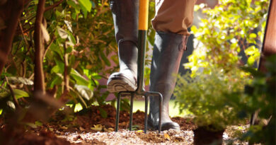 Best Garden Forks in the UK