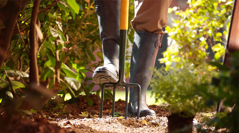Best Garden Forks in the UK