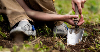 Best Garden Trowels in the UK