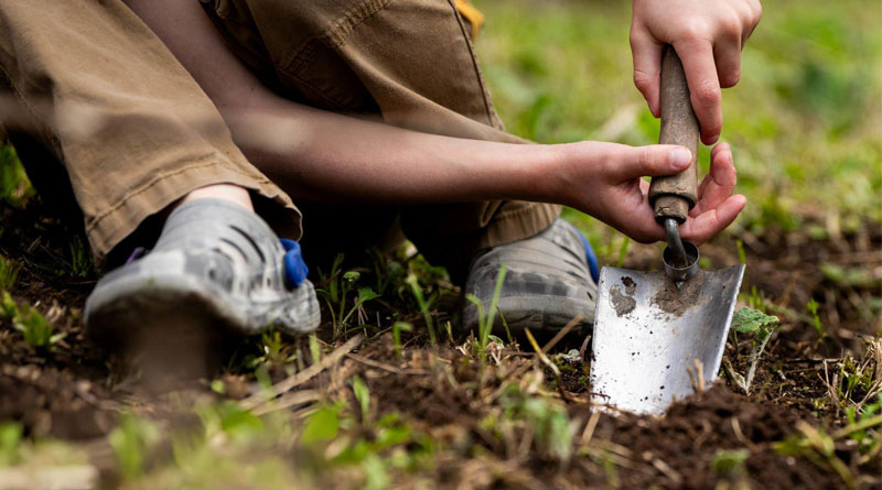 Best Garden Trowels in the UK