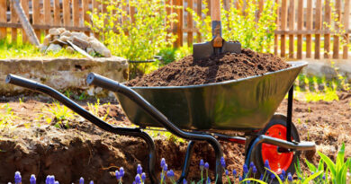 Best Garden Wheelbarrows UK