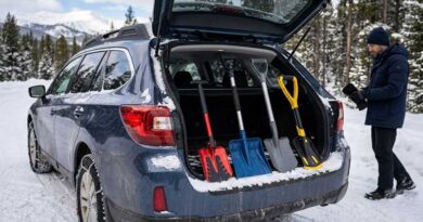 Best Snow Shovels for Cars